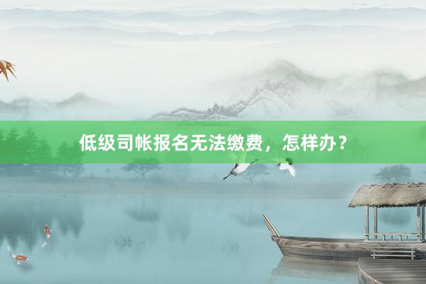 低级司帐报名无法缴费，怎样办？