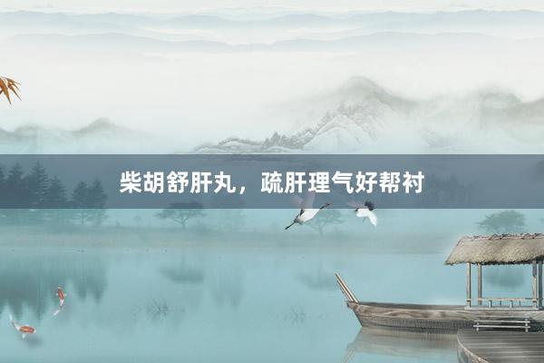柴胡舒肝丸，疏肝理气好帮衬