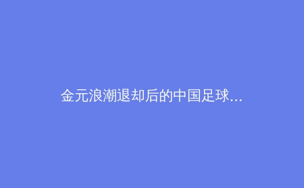 金元浪潮退却后的中国足球：青训体系重构与职业联赛的生态革命 - 2